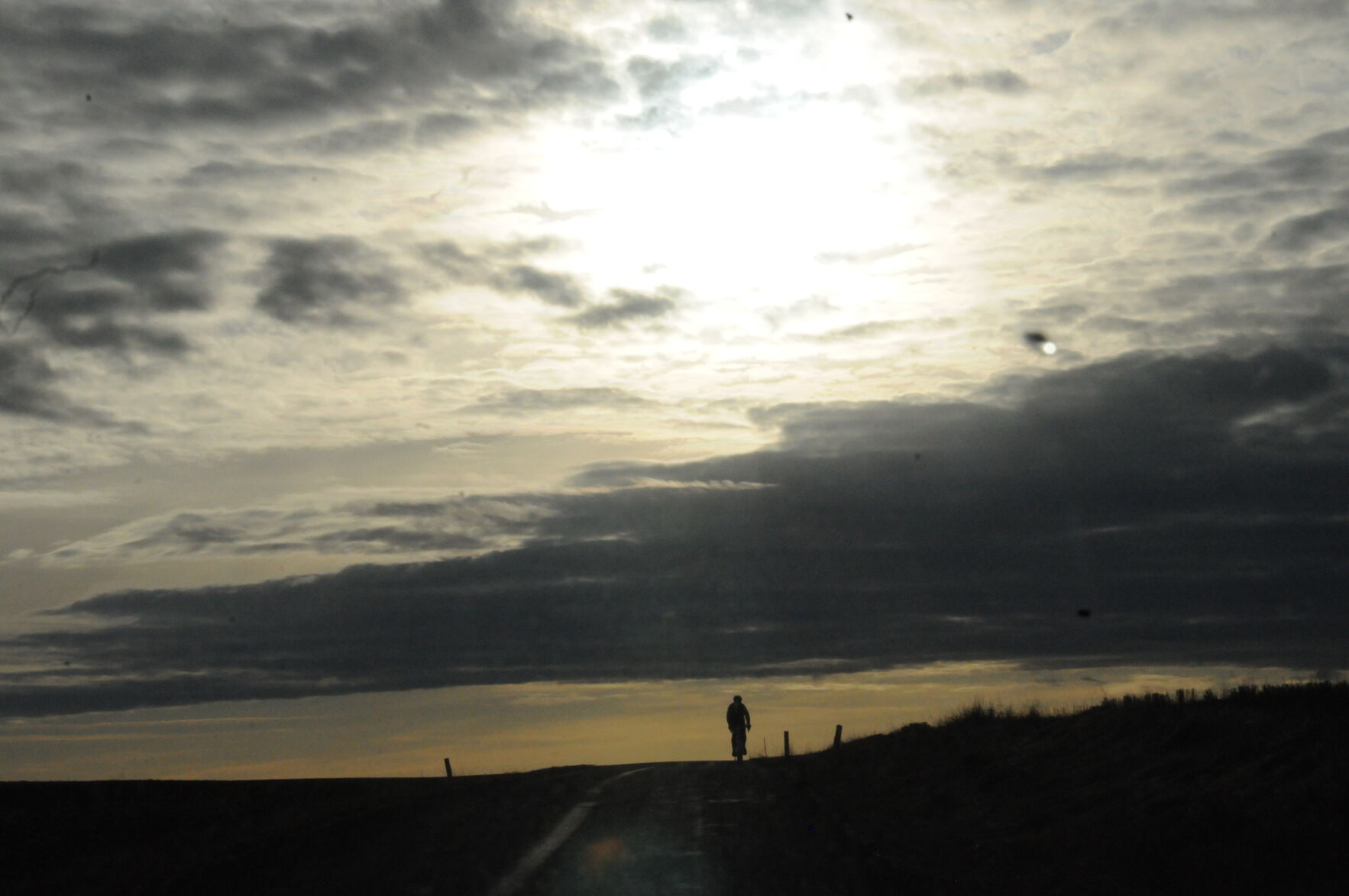 Lone Rider
